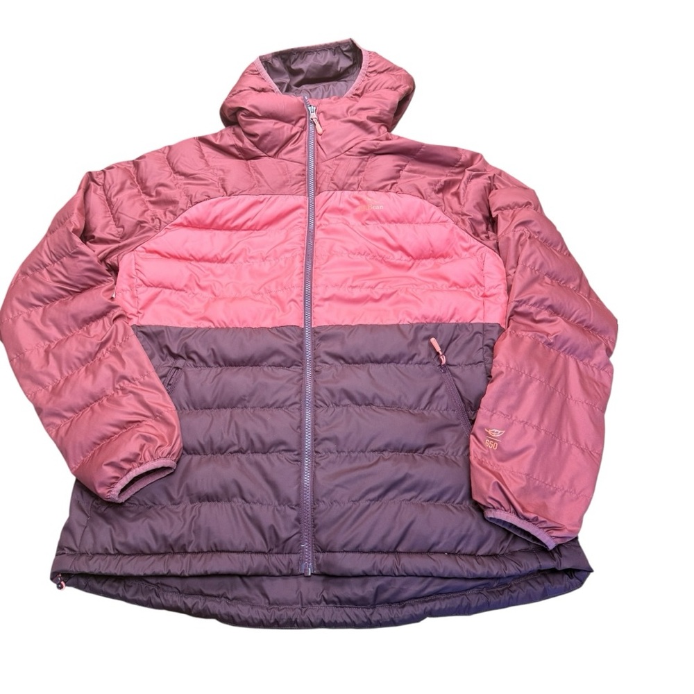 Women's Pink and Purple Jacket